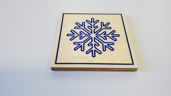 Ski coasters