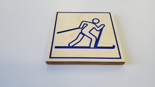 Ski coasters